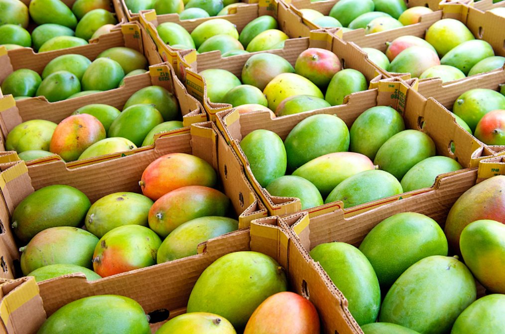 Mangoes